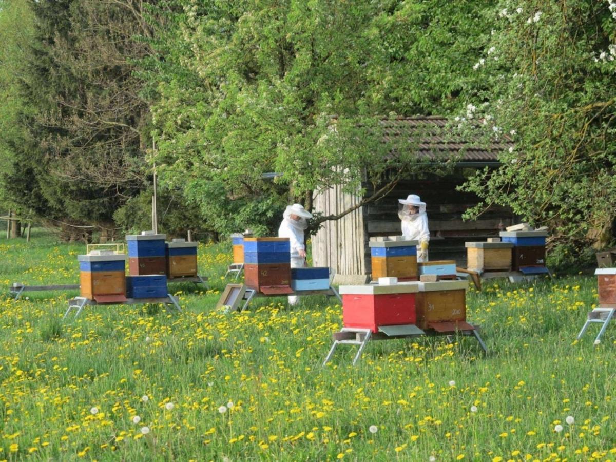 Das Kleine Paradies Purgen Buitenkant foto